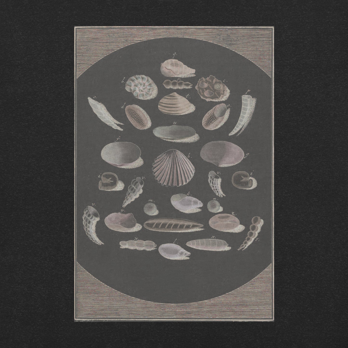 Bones of the Surf T-Shirt - Multicolor