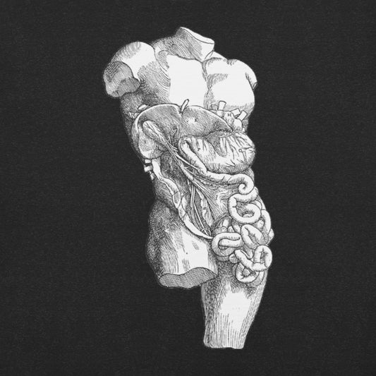 Anatomical Adam T-Shirt