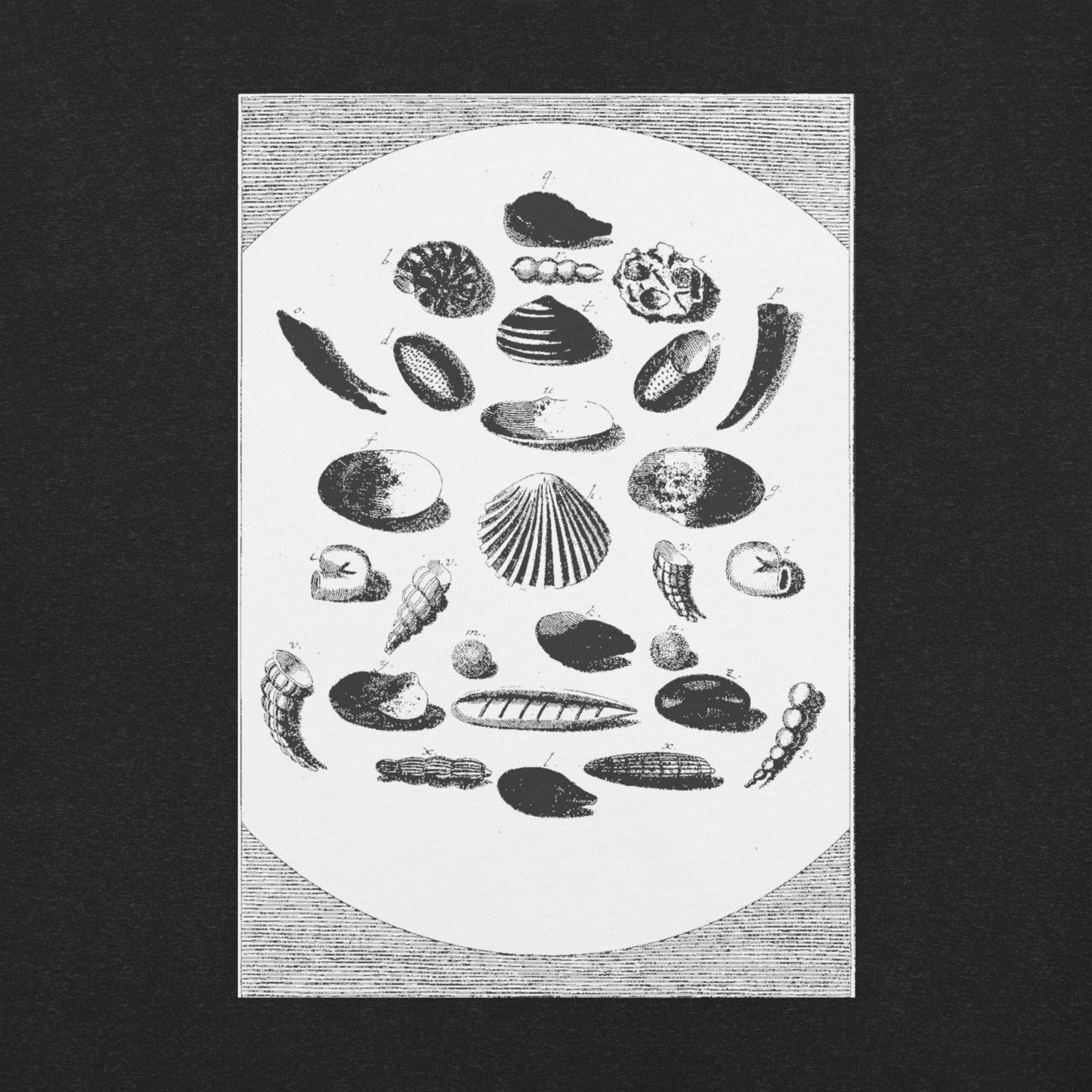 Bones of the Surf T-Shirt - Black & White
