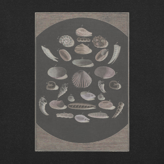 Bones of the Surf T-Shirt - Multicolor