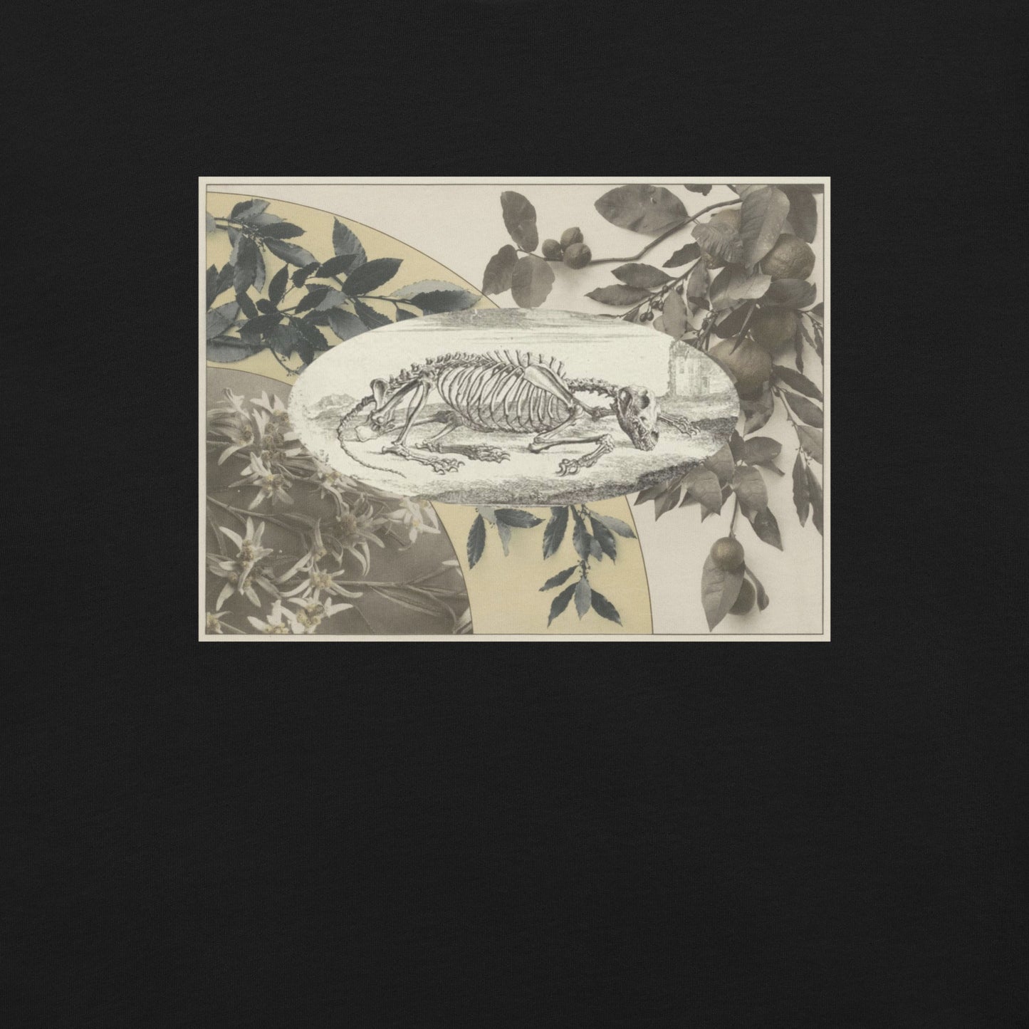 Courage Wolf Bones T-Shirt - Beige